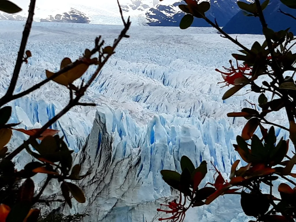 Perito Moreno Glacier
