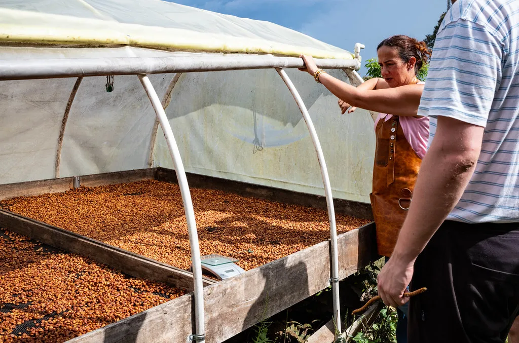 Colombia — Eje Cafetero
